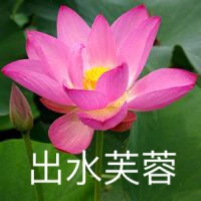奧威尔的动物农场手机版